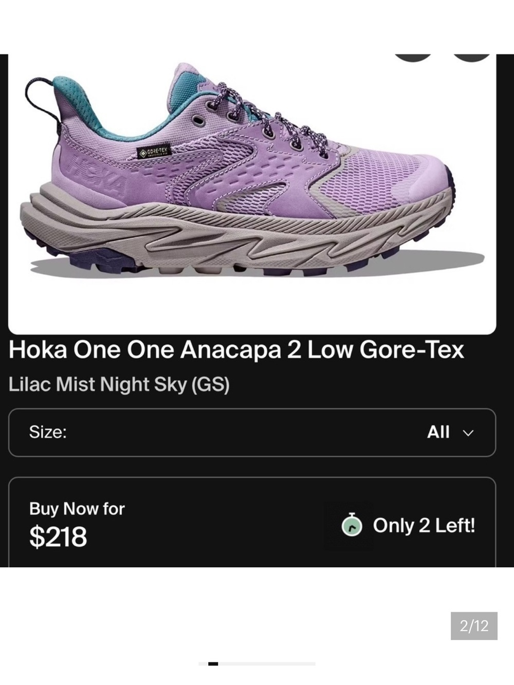 Youth size 5.5, lady’s size 7.5 Hoka Anacapa 2 Low Gore-Tex - Picture 1 of 6